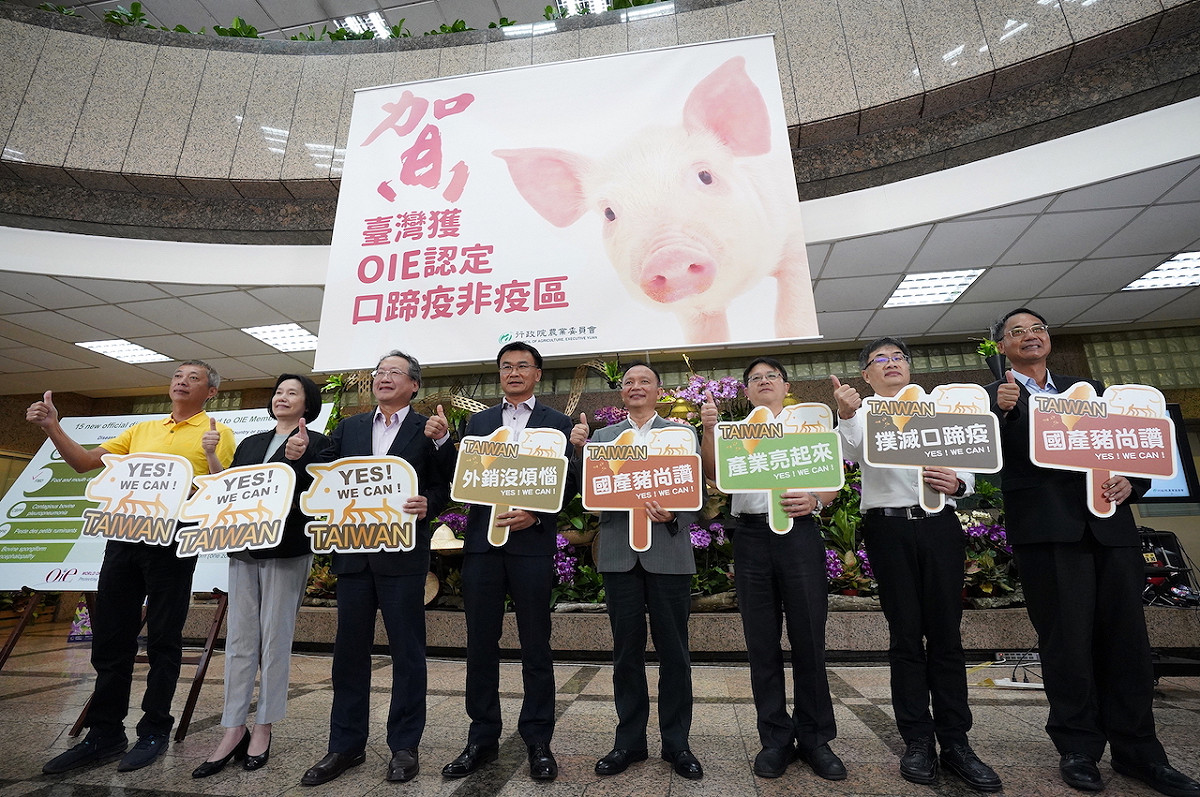 台灣在16日晚間正式成為「不施打疫苗口蹄疫非疫區」，徹底從世界口蹄疫疫區名單除名，為慶祝這23年來努力的成果，農委會今（17）日喜放2大串各10公尺鞭炮慶祝 圖：農委會/提供