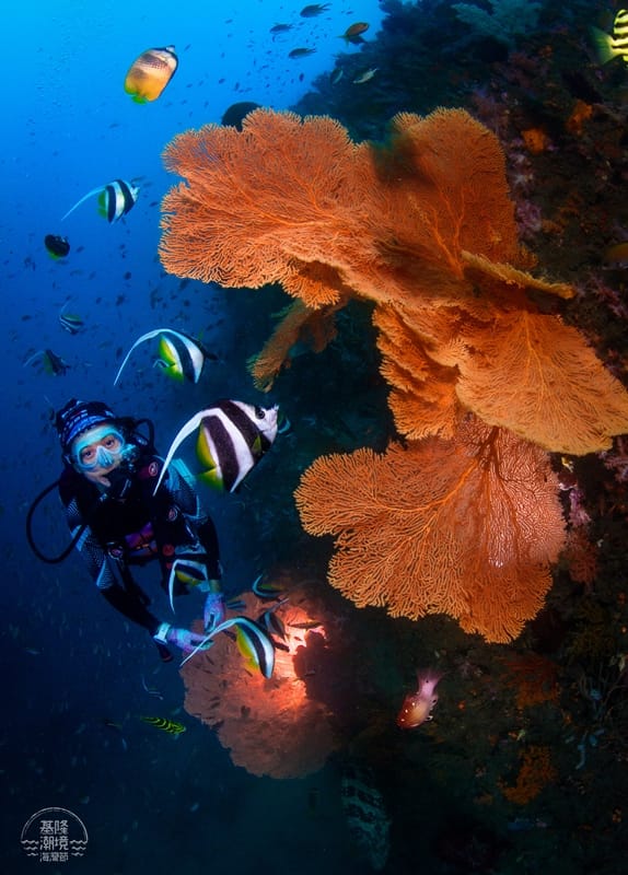 暑期水域活動正夯，海科館透過人魚劇場宣導水域安全知識，並加碼潮境公園潛水活動。 圖：海科館／提供（邱茂瑞攝）