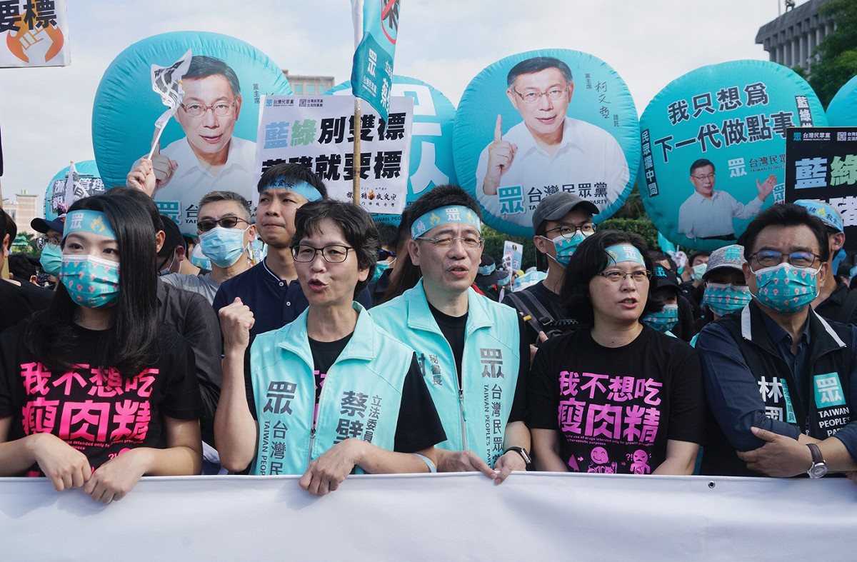 民眾黨參與秋鬥遊行 圖:張良一/攝