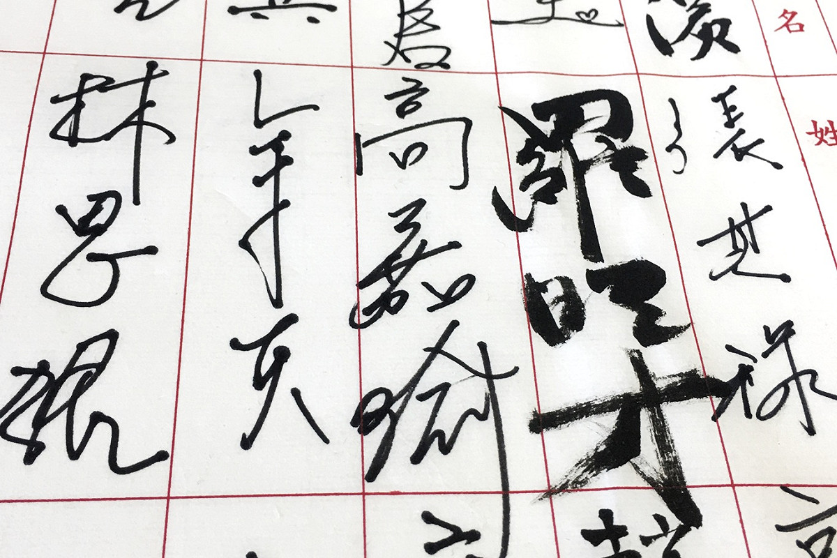立委高嘉瑜今天遭週刊踢爆，遭男友家暴驗傷，但她一大早仍到議場簽到，然後隨即神隱。 圖：張良一/攝
