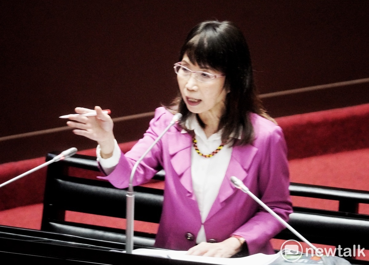 台灣民眾黨立委陳昭姿。 圖：張良一 / 攝