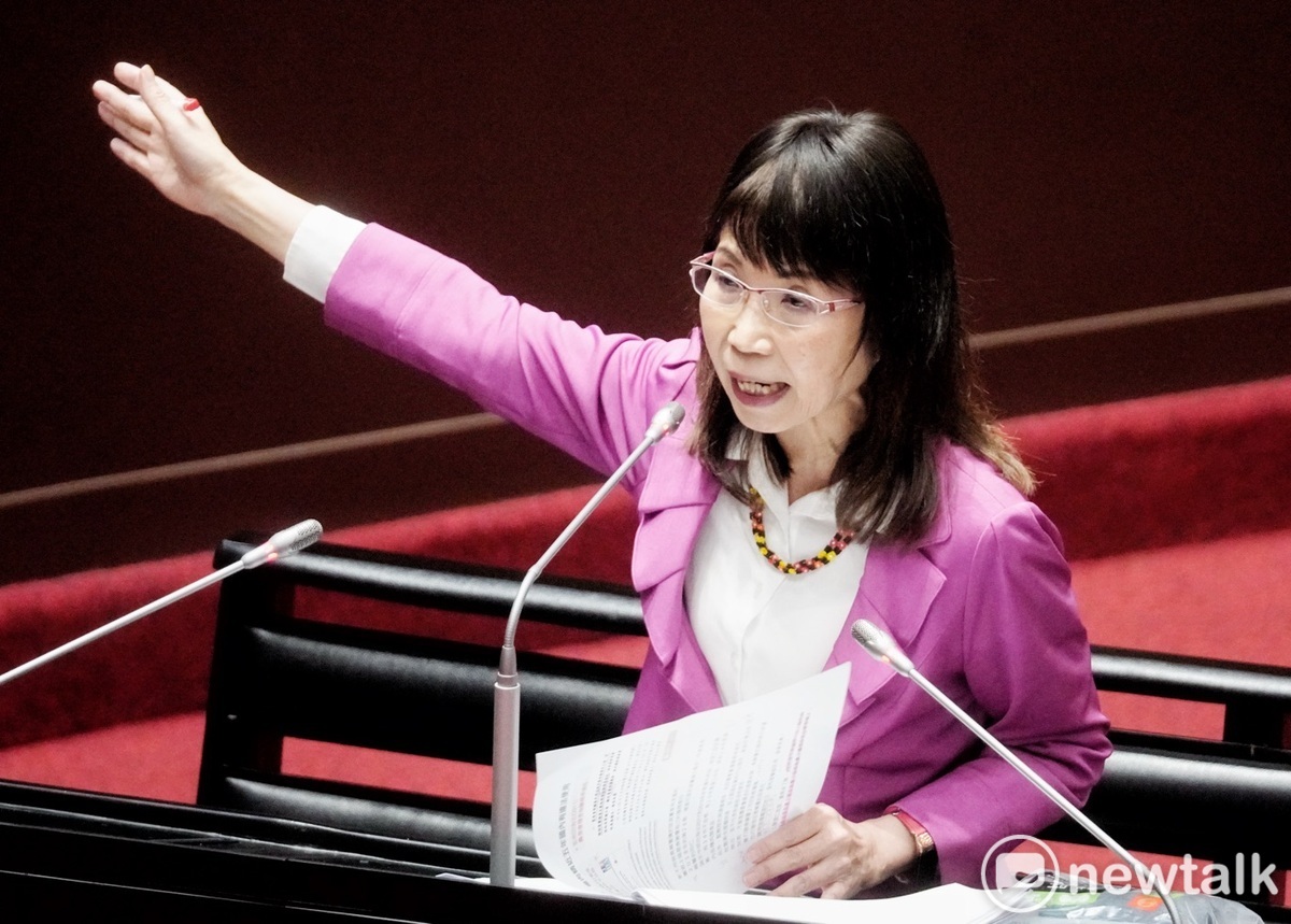 台灣民眾黨立委陳昭姿。 圖：張良一 / 攝