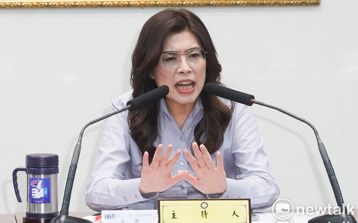 鄭麗文訪美後稱擬提黨版無人機條例！沈榮欽：恐將引發國民黨內戰