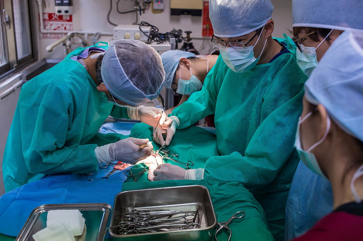 新北市動保處近年逐步推動動物醫療三級化、成立動物醫療中心，預為動物救援全面回歸作準備。 圖 : 翻攝新北市政府動保處網站
