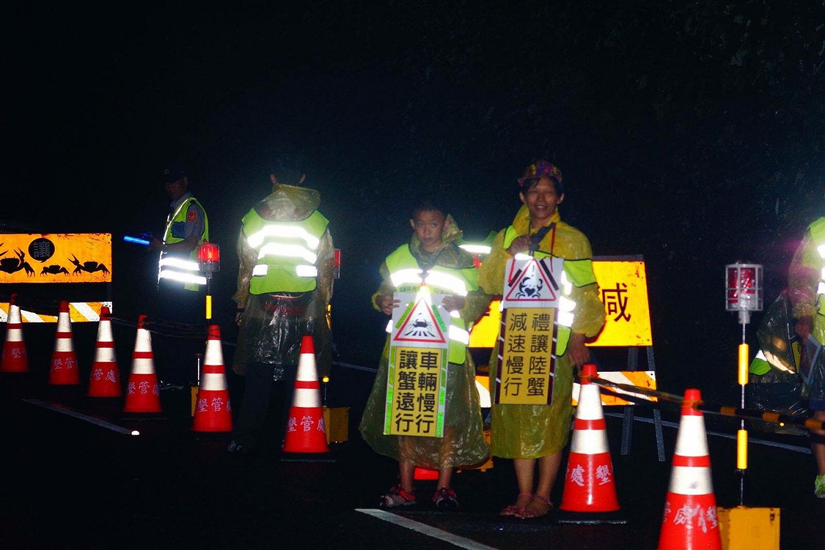 為讓陸蟹過馬路不再遭到車輛輾斃，公路總局對台26線省道39.5k至41.5k共2公里進行交通管制。 墾管處提供