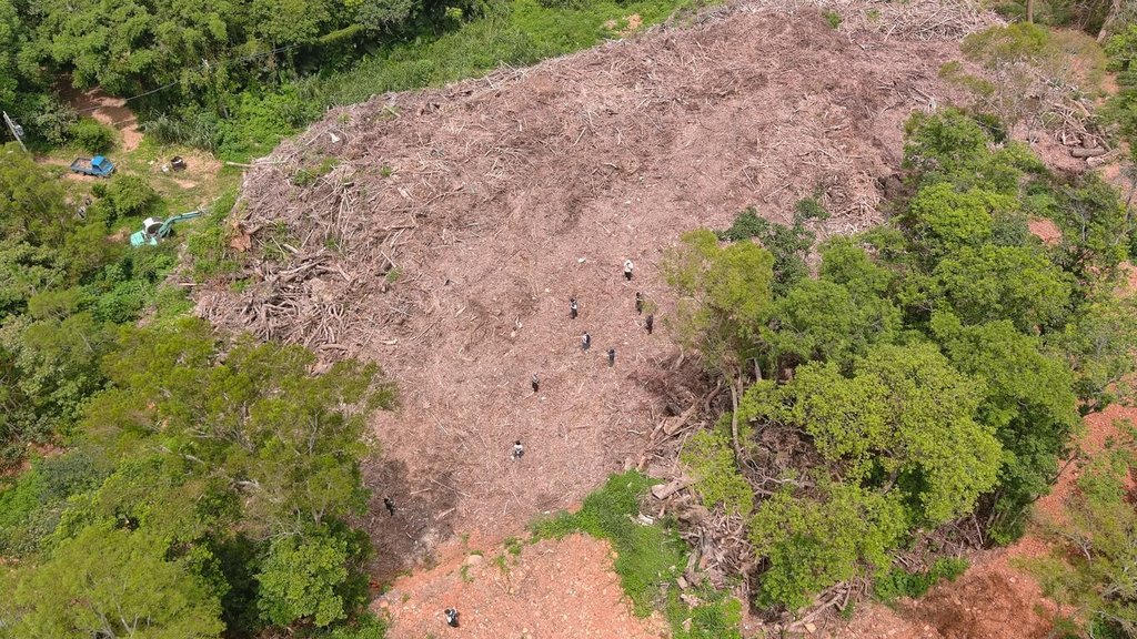 苗栗縣三義鄉山坡地保育區遭棄置大量廢樹枝、樹葉，面積約有1個足球場大小，案經台灣苗栗地方檢察署日前偵結，檢察官以違反廢棄物清理法、水土保持法等罪嫌，對12人提起公訴。（苗栗地檢署提供）中央社記者管瑞平傳真　114年10月16日