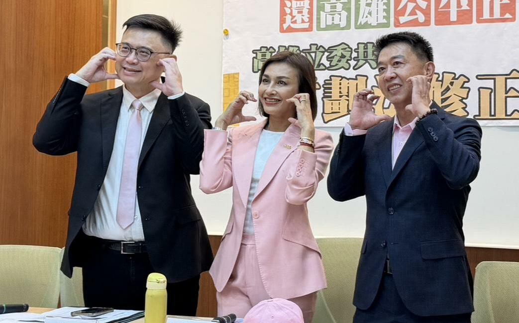 投書》藍天進不去的綠地-高雄，點評四位民進黨市長參選人