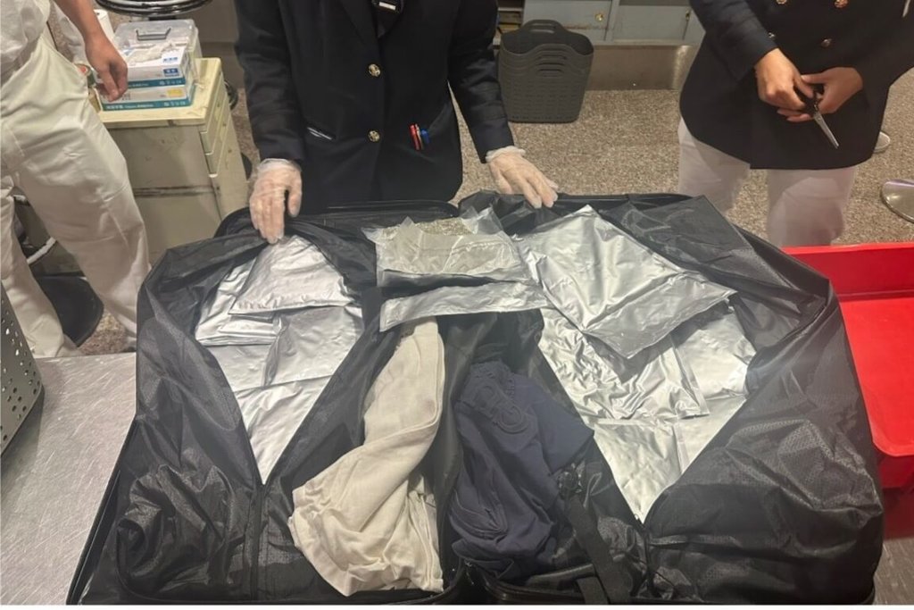 航空警察局20日表示，台灣籍女子疑似遭網路愛情詐騙，7月間自泰國為「老公」帶回重達11.89公斤的毒品大麻，遭台北關與航警局破獲，依違反毒品危害防治條例送桃園地檢署並於近日起訴。（航空警察局提供）中央社記者吳睿騏桃園機場傳真　114年10月20日