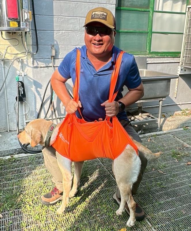 光田綜合醫院急診部高正國醫師親自協助搜救犬體驗救援背帶，了解實際使用情況。 圖：光田醫療體系/提供