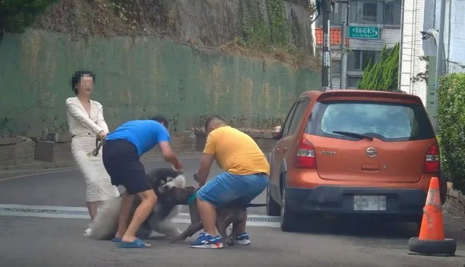 一名女子牽著自家愛犬外出散步時，突遭一隻未繫牽繩的比特犬撲咬。 圖：翻攝自「竹北人有事嗎」臉書粉專