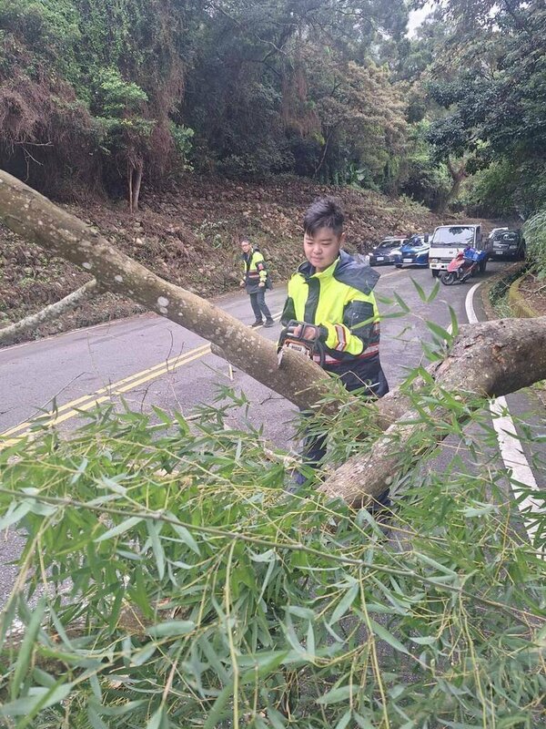 東北季風以及風神颱風外圍環流共伴效應，苗栗縣21日颳起9級以上強陣風，苗130線與苗119線道路，有多棵大樹被吹倒在馬路上，阻礙通行，苗栗縣政府交工處以及地方巡守隊趕往搶通，所幸未造成事故及人員傷亡。（民眾提供）中央社記者管瑞平傳真　114年10月21日
