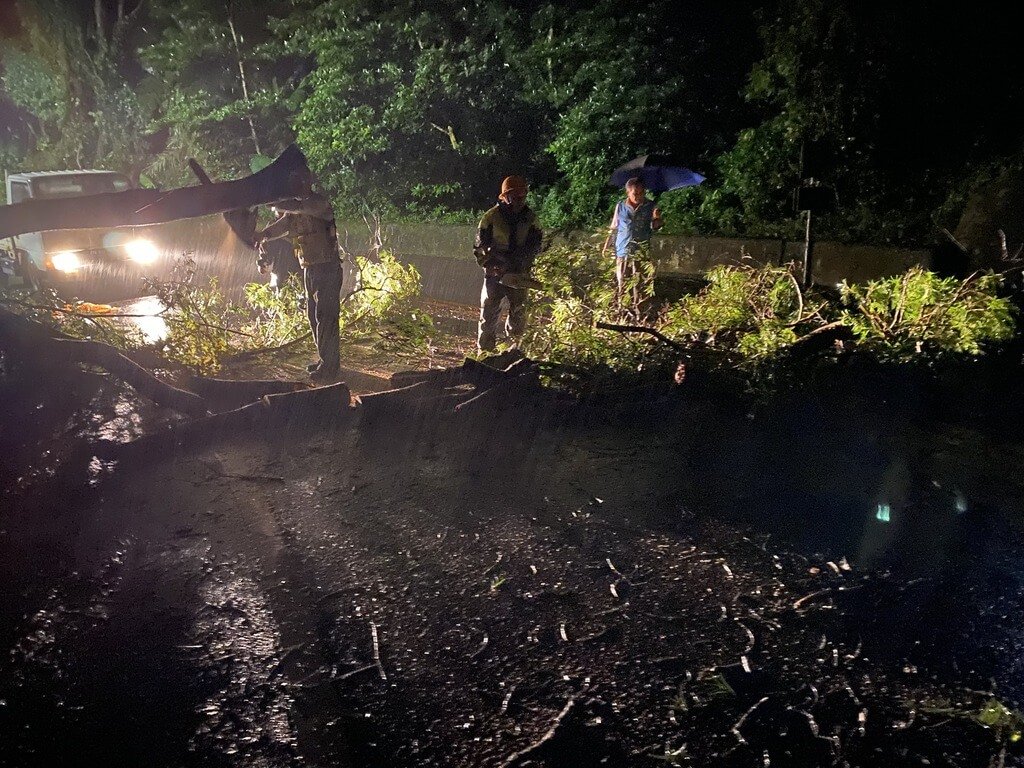 受到東北風明顯與颱風外圍環流影響，苗栗縣颳起陣風，苗栗縣道130線11至12公里處，20日晚間陸續發生路旁大樹傾倒案件，樹幹和枝葉阻礙人車往來通行，通苑救難協會隊員連夜趕往排除搶通。（民眾提供）中央社記者管瑞平傳真　114年10月21日