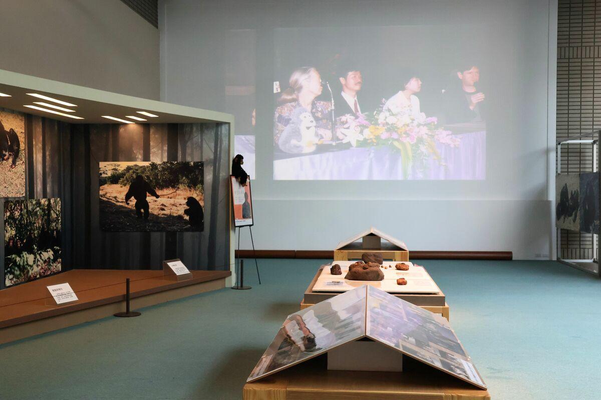 科博館珍古德紀念微型展特別重新展出過去曾在館內展出的兩檔攝影展經典展件。 圖片：國立自然科學博物館／提供