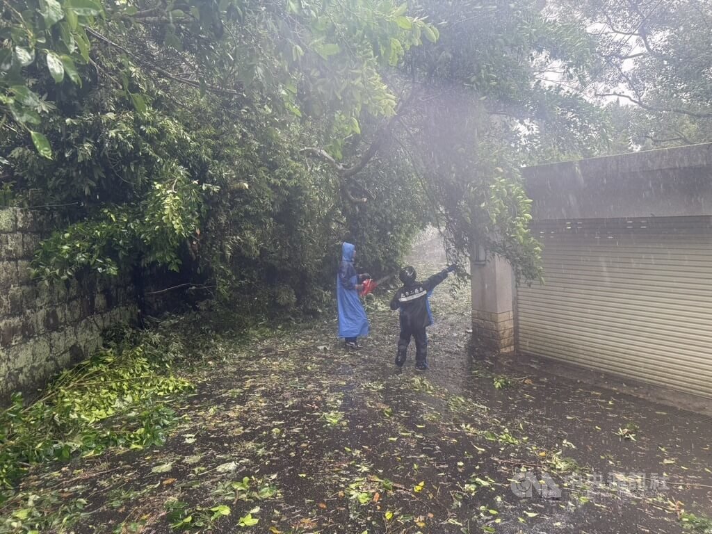 台北市22日仍大雨不斷，陽明山仰德大道三段有路樹傾倒。（翻攝照片）中央社記者黃麗芸傳真　114年10月22日