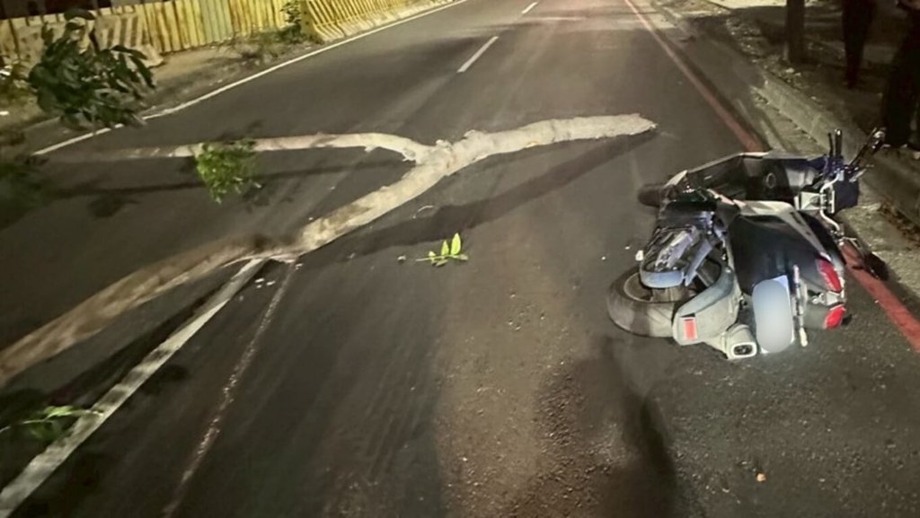 高雄徐姓男子21日騎車行經左營區翠華路時外側車道，遭路上路樹斷枝絆倒摔車，徐男手腳擦挫傷自行就醫，酒測值為0。警方到場將斷枝移置，並通報相關單位移除，詳細肇因仍待釐清。（高市左營警分局提供）中央社記者洪學廣傳真　114年10月22日