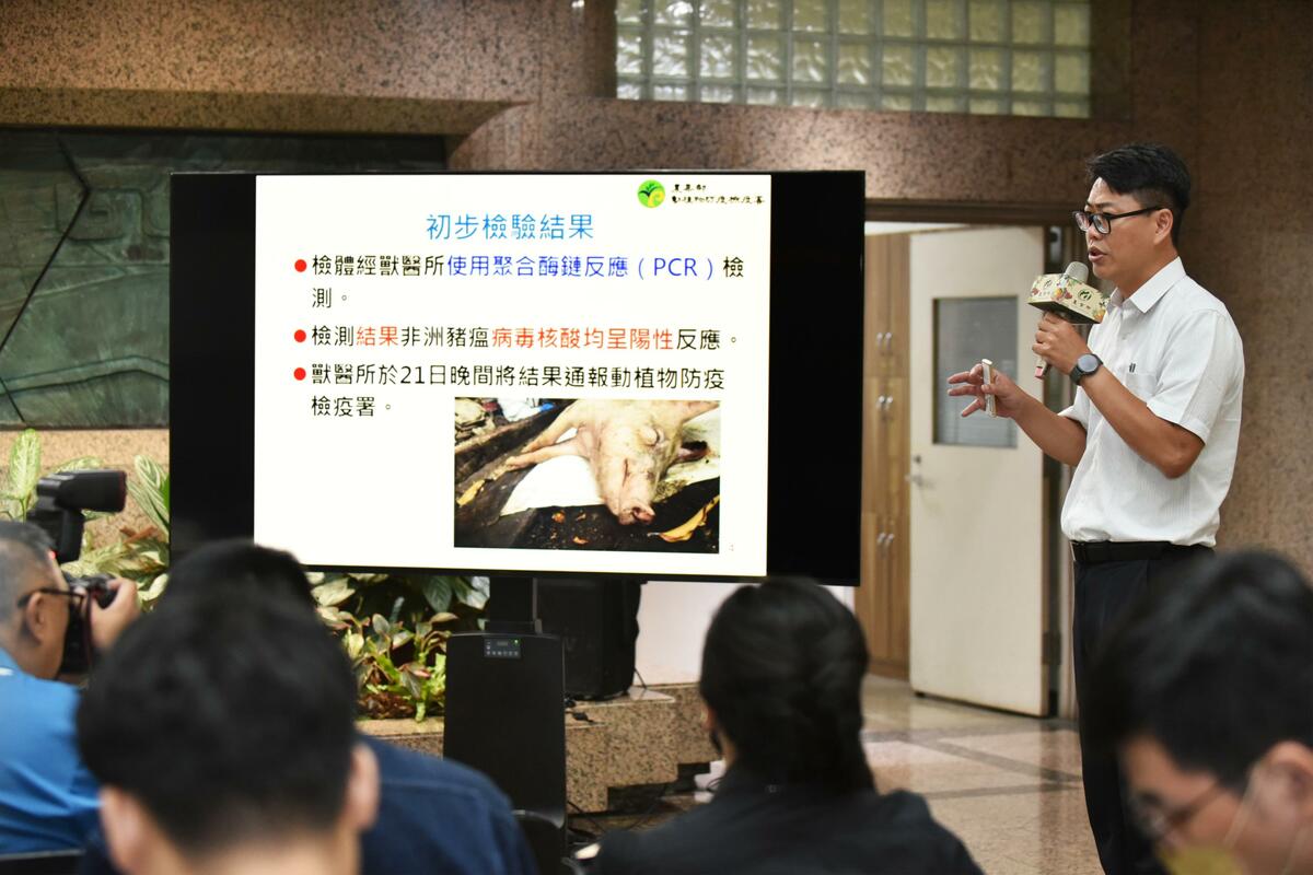 針對台中市烏日區某養豬場檢出非洲豬瘟病毒核酸一事，防檢署動物防組林念農組長，證實這已是台灣本土的首例非洲豬瘟確診。 圖：農業部／提供