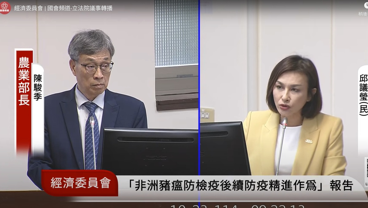 民進黨立委邱議瑩痛在質詢非洲豬瘟議題期間，痛斥台中市長盧秀燕與國民黨、民眾黨。 圖：擷取自國會頻道