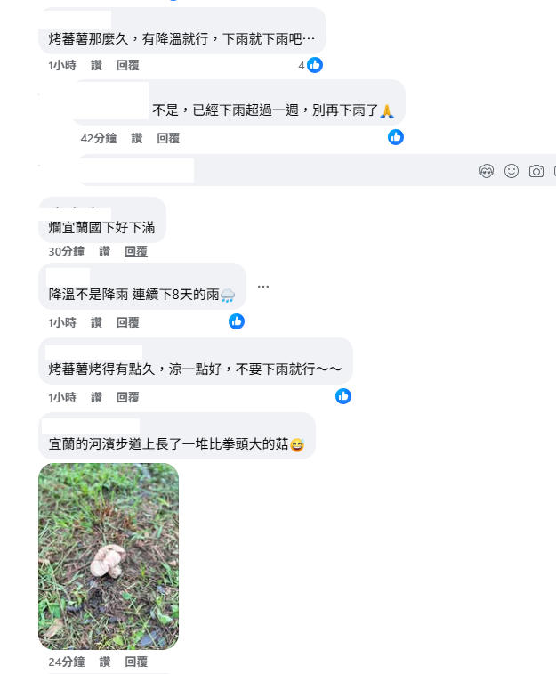 連日大雨讓不少北部人哀號「別再下雨了」，甚至PO照表示「宜蘭的河濱步道上長了一堆比拳頭大的菇」，感到相當無奈。 圖：取自台灣颱風論壇