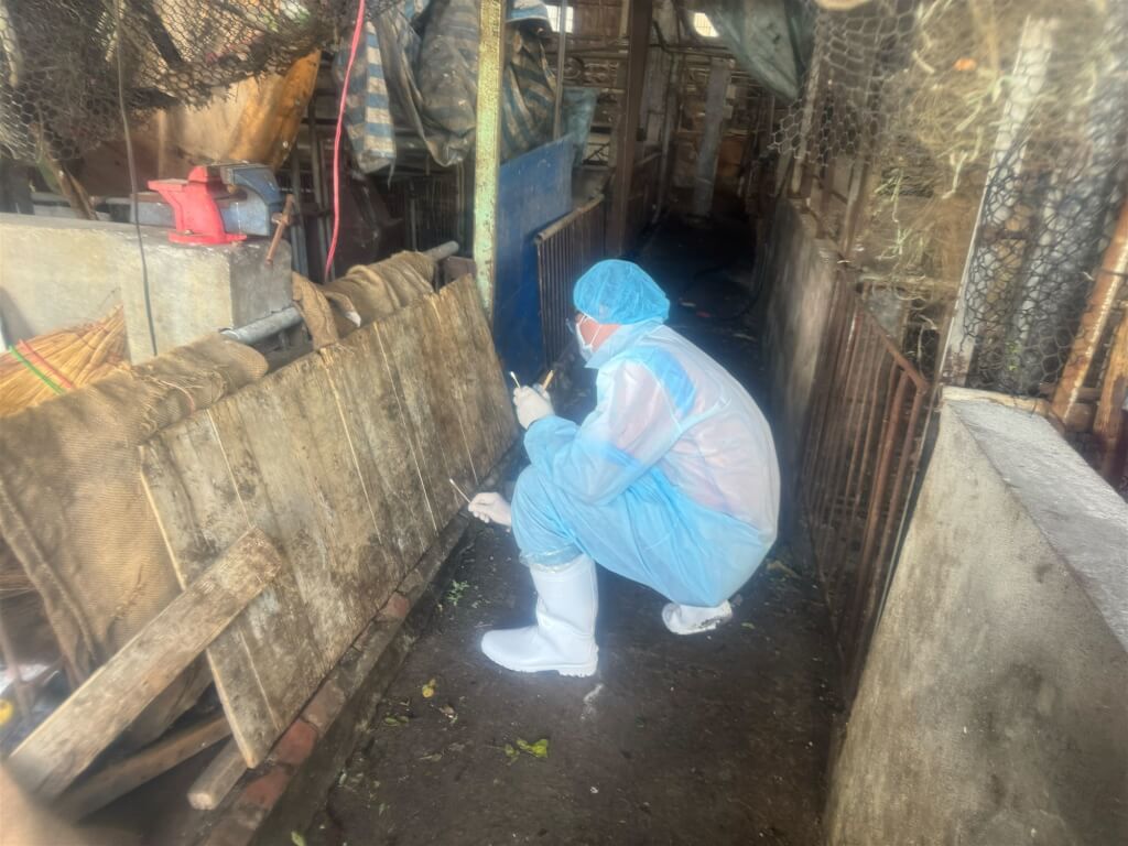 圖為台中市政府26日派員到梧棲染疫養豬場，進行環境樣本的採檢。（非洲豬瘟中央前進應變所提供）中央社記者趙麗妍傳真　114年10月27日