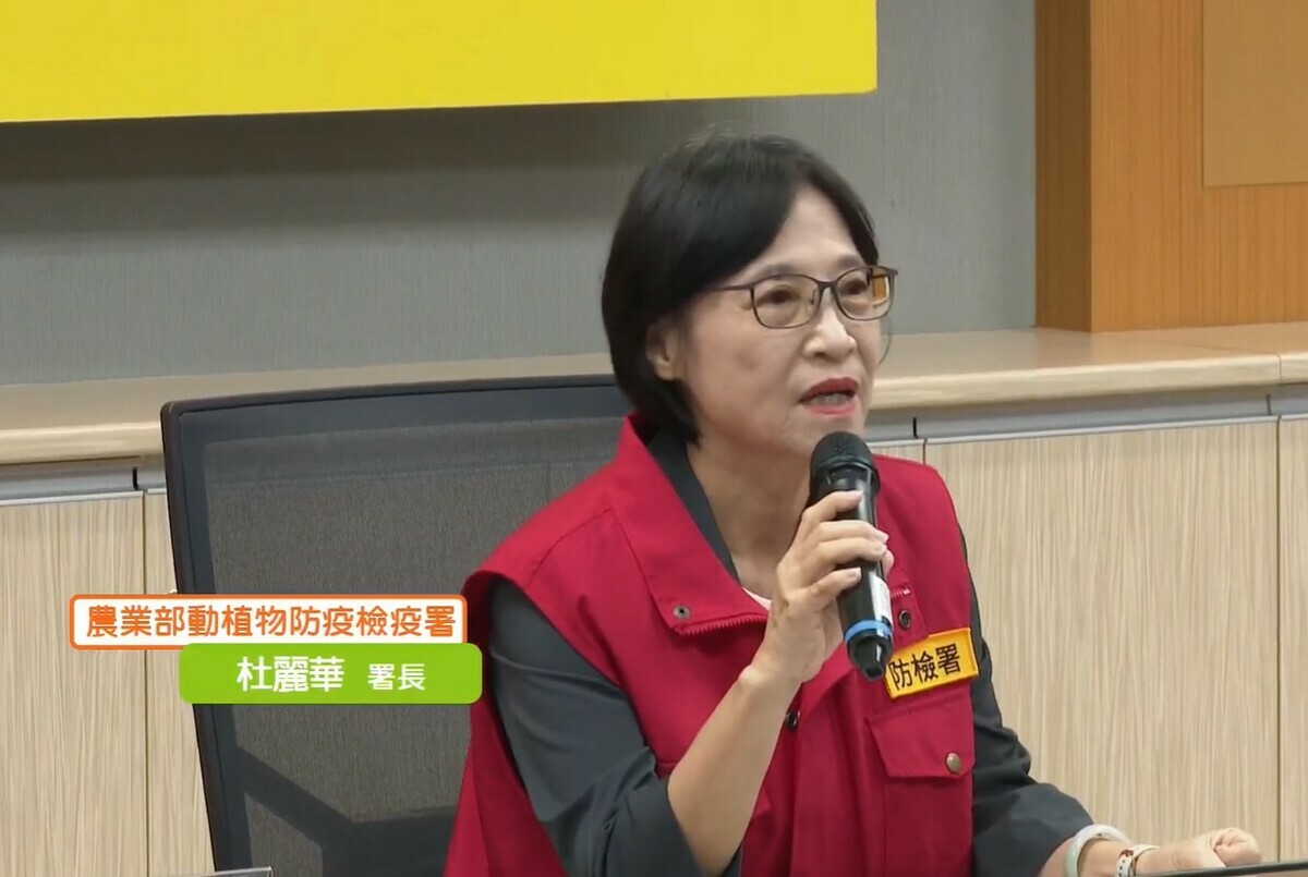 非洲豬瘟中央災害應變中心今日召開記者會，研判首隻豬因非洲豬瘟發病死亡時間可能早於10月10日。 圖：翻攝自防檢署直播