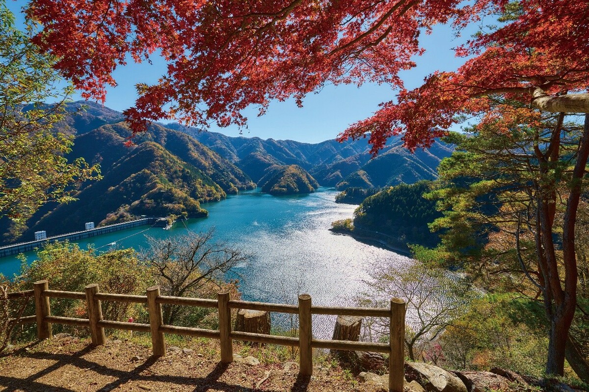 奧多摩的秋日美景。 圖：TCVB／提供
