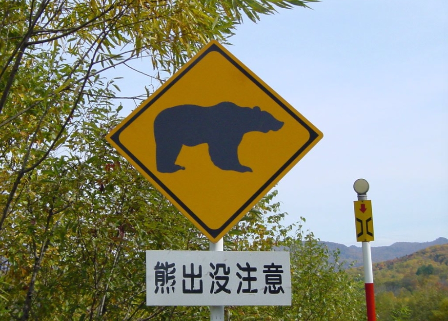 基隆市近日爆發旅行社詐騙案件，多名民眾日前向警方報案，指控一名自稱「耐斯旅行社」的蕭姓女子，以長期招攬旅遊團取得信任，卻在出團前一天以「日本有熊出沒」為由臨時取消行程，導致受害者損失近百萬元。 圖 : 翻攝自北海道無料寫真素材
