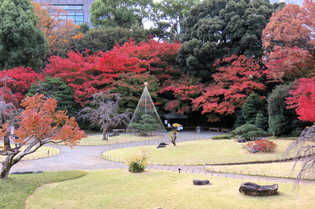 園內著名的紅葉林風景。 圖：公益財団法人東京都公園協会提供