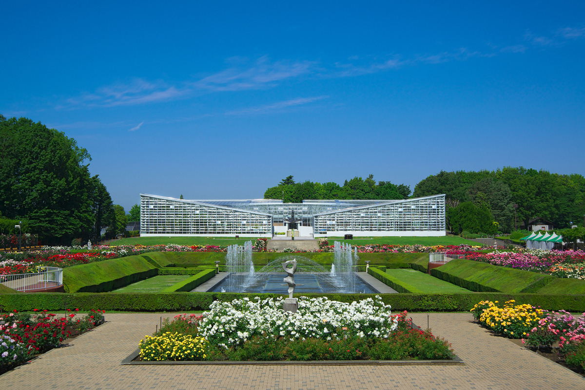 神代植物公園。東京屈指可數的植物園，廣闊的園區四季繁花盛開。 圖：神代植物公園提供