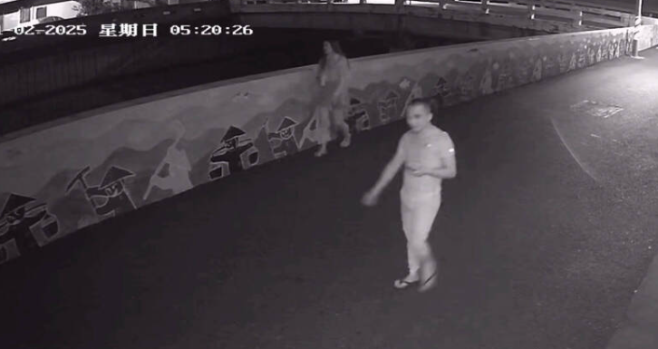 男子高速衝撞巷弄後，與同車女子肇事逃逸，遭附近監視器拍下。 圖：翻攝畫面