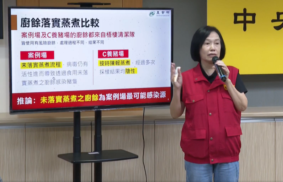 台中非洲豬瘟確定為單一案例，中央疫調指廚餘未蒸煮為病毒來源，豬場僅買2桶瓦斯、無蒸煮跡象，凸顯廚餘管理漏洞。 圖：翻攝自農業部直播畫面