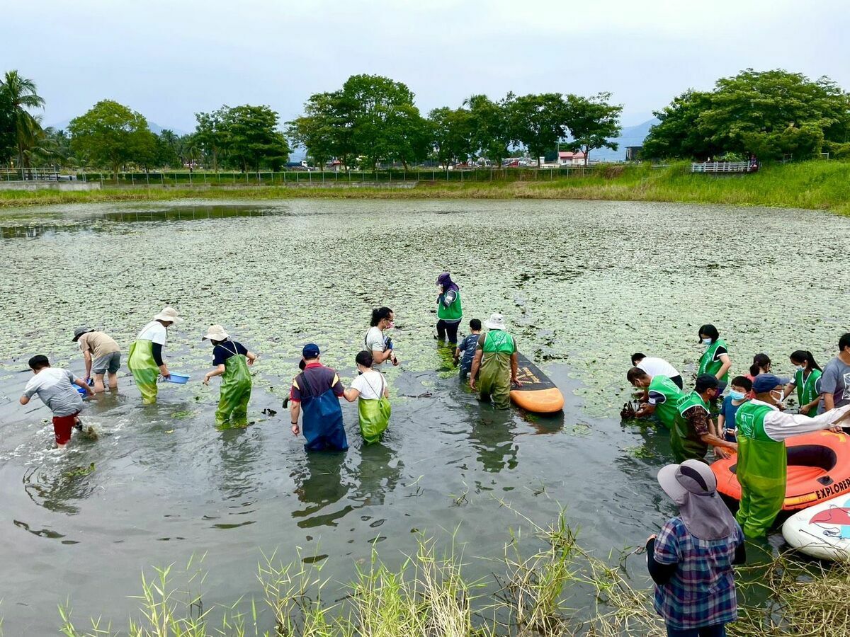 小朋友學習認識野蓮等水生植物。 圖：高雄市觀光局/提供