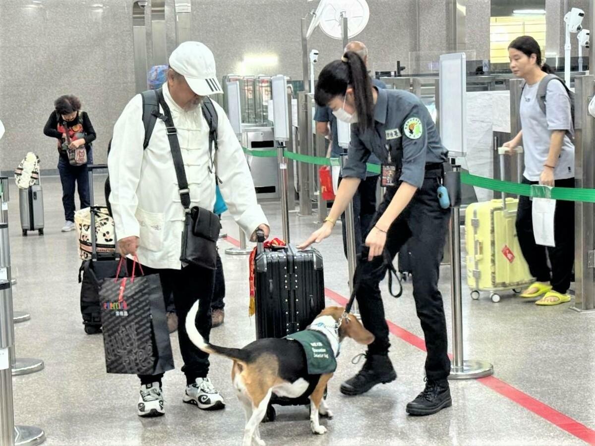 今年金門小三通航線已查獲15起民眾將「中國豬肉」帶回國案件，皆已裁罰。 圖：財政部關務署高雄關／提供