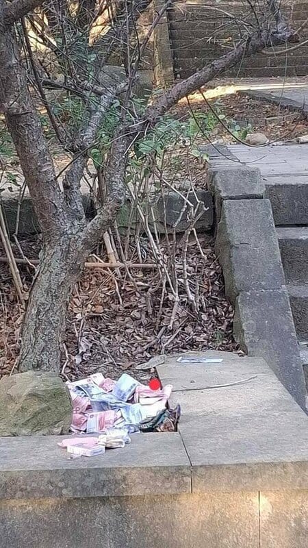 苗栗市有民眾5日上午在貓裏山公園運動時，在水泥平台花圃發現大批現金紙鈔以及7條總重約35兩黃金，警方將擴大調閱監視器畫面，尋找可能的失主。（民眾提供）中央社記者管瑞平傳真 114年11月5日