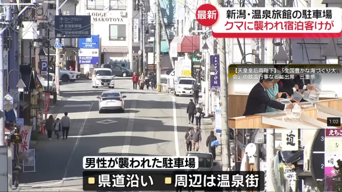 連越後湯澤車站附近的大型溫泉旅館門口停車塲都有旅客遭熊侵襲受傷。 圖：翻攝NTV電視官網