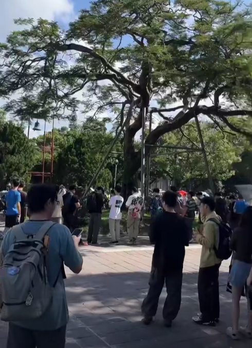 16日清晨6點6分就有民眾到台大傅鐘前卡位。到中午前，現場人潮突破四、五百人，不少學生與民眾從新店、安康等地專程趕來排隊，只為搶到免費雞排。然而時間逼近中午12點，原PO卻遲遲沒有現身，讓苦候數小時的群眾哀嘆「被放鴿子」。 圖:翻攝自黑特帝大