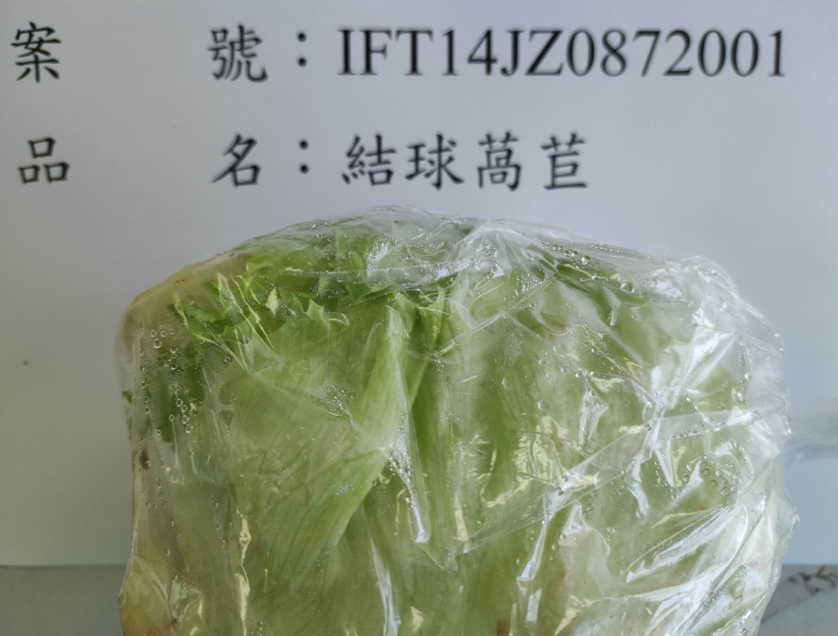 馬來西亞進口的結球萵苣被檢出芬普尼殘留超標。 圖：食藥署／提供