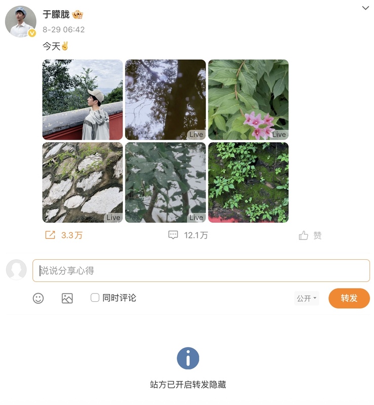 于朦朧微博轉發也被限制，顯示為「站方已開啟轉發隱藏」。 圖：翻攝自網路