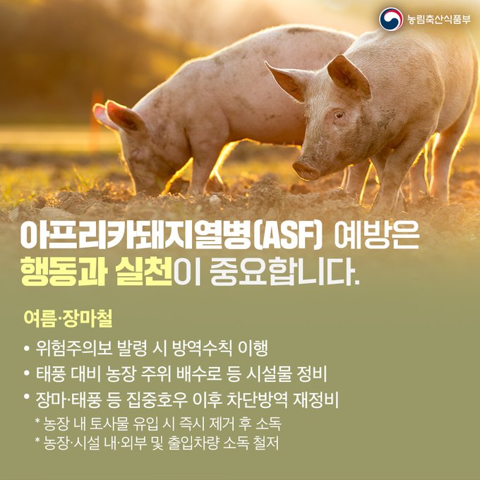南韓農業部門下達將非洲豬瘟全國疫情危機預警提升至最高級別「嚴重」命令。 圖：翻攝rda.go.kr