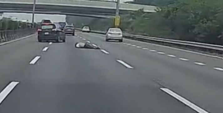自小客車後座突然掉出一名男子，整個人滾落至中線車道。 圖：翻攝自臉書爆料公社