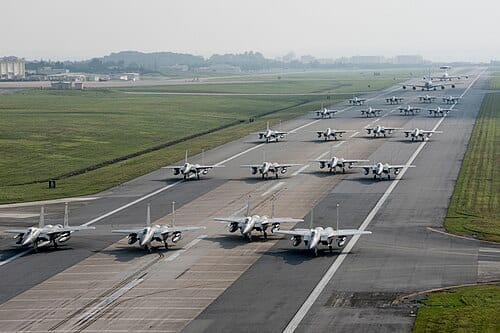 美國空軍在沖繩嘉手納基地大象走路。 圖：取自維基百科　U.S. Air Force photo by Senior Airman John Linzmeier　Public Domain