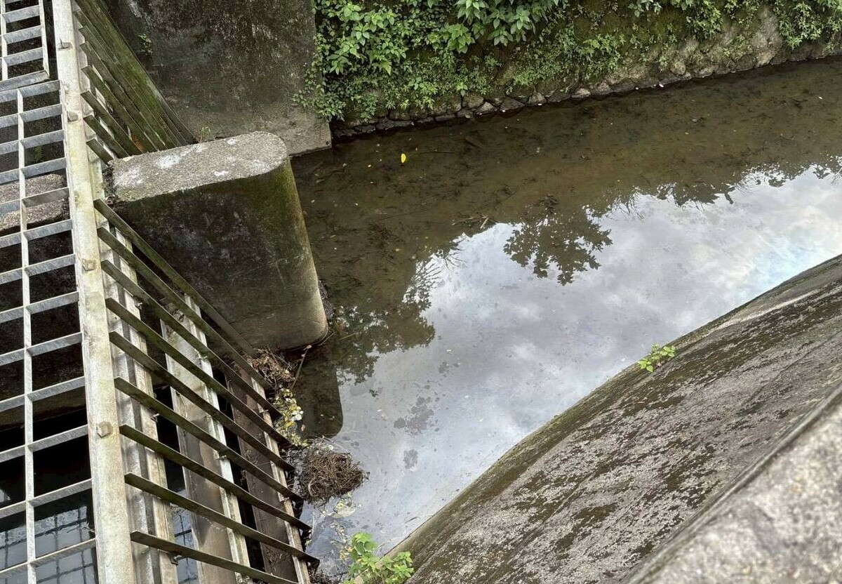基隆市近期接連爆發油水污染，民進黨基隆市黨部19日痛批基隆市府在水資源治理與市政管理全面失能。 圖：經濟部提供