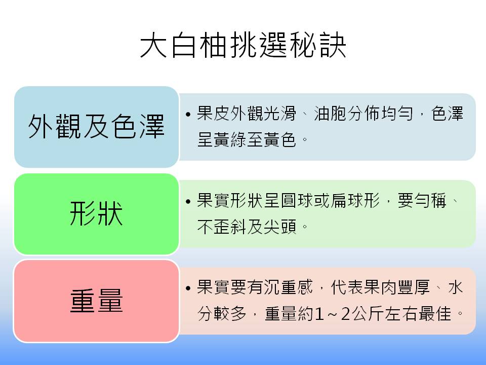 大白柚不論果肉或是水分都比文旦更飽滿豐厚、甘甜中帶酸的獨特風味，食後口齒留香，吃起來更過癮，而要怎麼挑才會選到好吃香甜的大白柚？台南農改場在這邊教你！ 圖：新頭殼製表