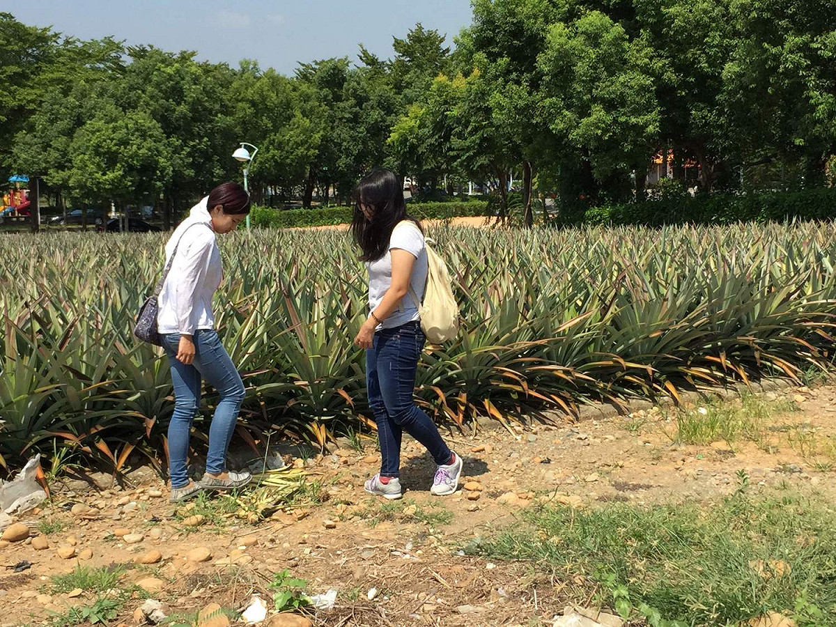 國立中正大學附近日前發生毒狗案件，動保團體前往現場勘查。 圖 : 嘉義縣新聞記者公會/提供
