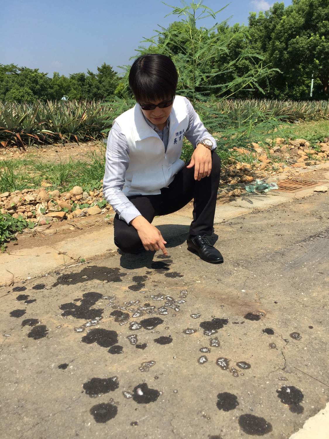 國立中正大學附近日前發生毒狗案件，嘉義市動物守護協會理事長吳育才到現場勘查。 圖 : 嘉義縣新聞記者公會/提供
