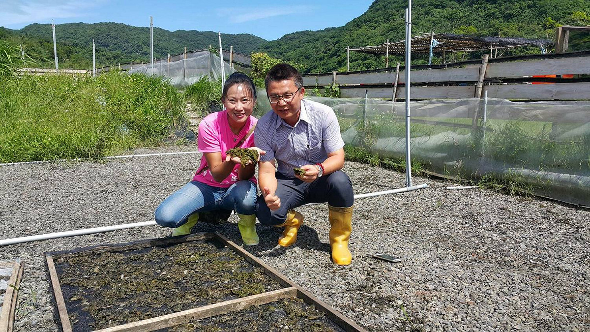 她和朋友取用當地的漂流木及枯枝搭建簡單的「工寮」，去年的颱風把所有設備都吹走了，現在很多還在「修復中」。 圖: 丁采綸 / 提供