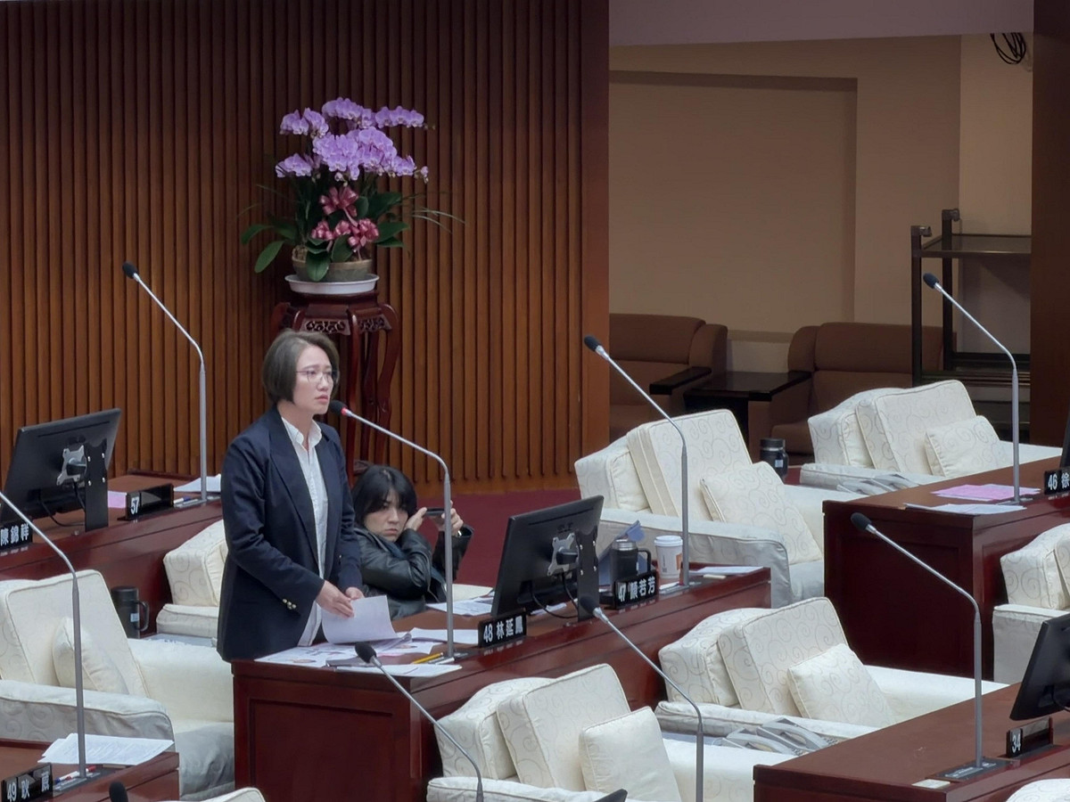 民進黨台北市議員林延鳳。 圖：林延鳳議員辦公室 / 提供