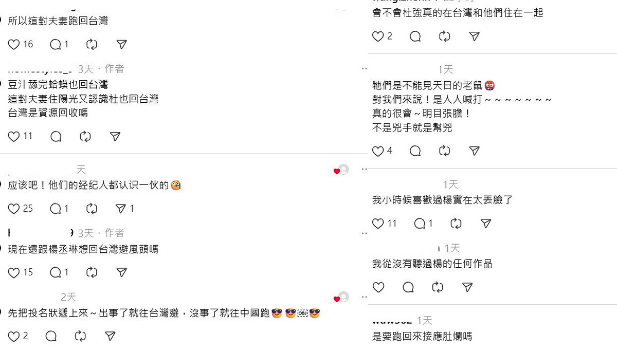 楊丞琳突然回台引起網友討論。 圖：翻攝自網路