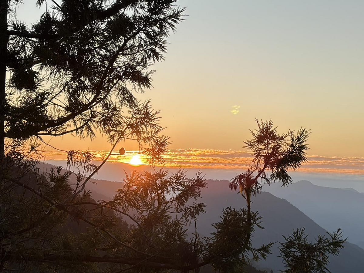 太平山蹦蹦車的樹木也被白霜覆蓋，搭配壯麗日出宛如仙境。 圖：取自太平山國家森林遊樂區臉書