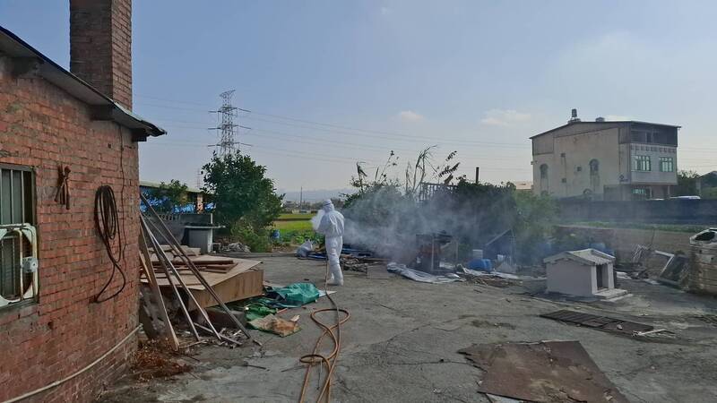 台中龍井區一處養豬場被查出違法廚餘餵豬，恐面臨400萬罰鍰。 圖：台中市府提供