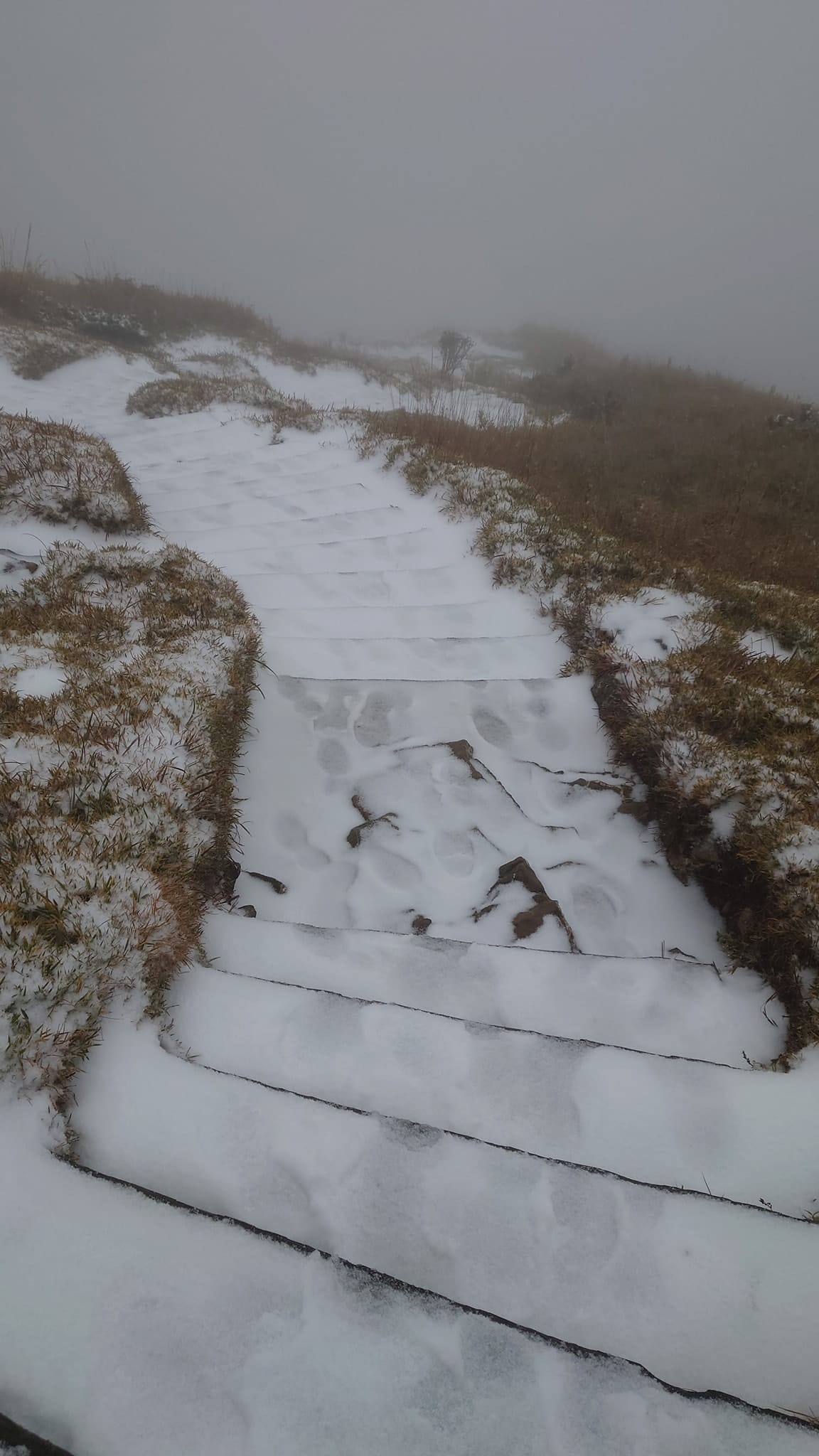 受到冷氣團的影響，全台又濕又冷，高山陸續傳出降雪的消息，其中南投合歡山開始下雪，導致聯外道路台14甲線道路潮濕結冰。 圖：取自合歡山系(台14、台8、台7甲)路況氣候雪況星況分享